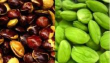 Basmi Bau Jengkol dengan 4 Cara Ini